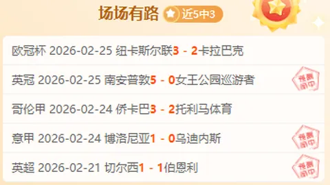 “2025欧洲杯球星身价榜：挪威双雄领跑，德容等巨星恐缺席”